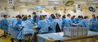 Des étudiants de 2e année de médecine à Poitiers. L'examen de fin de 1re année a un taux de 85 % d'échec. Certains décident de passer outre et d'étudier à l'étranger.
