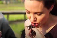 Angelina Jolie cuisine des mygales pour ses enfants