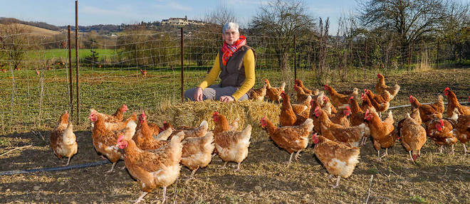 Pro. Sylvie Colas, eleveuse de poules et pintades bio a Lectoure, porte-parole de la Confederation paysanne du Gers.