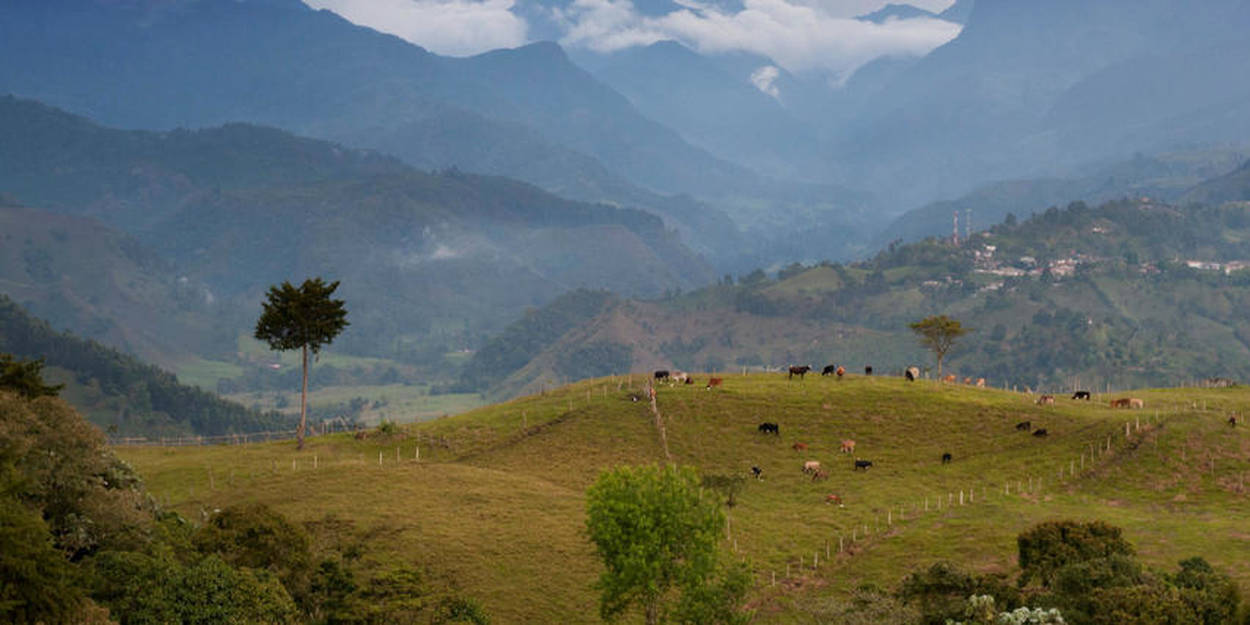 Colombie D Couverte D Un Fossile De Reptile Marin Unique Au Monde