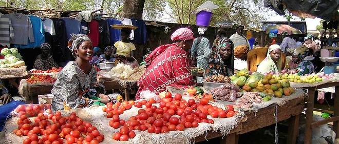 Agriculture : comment l'Afrique de l'Ouest s'y prend sur les marches internationaux
