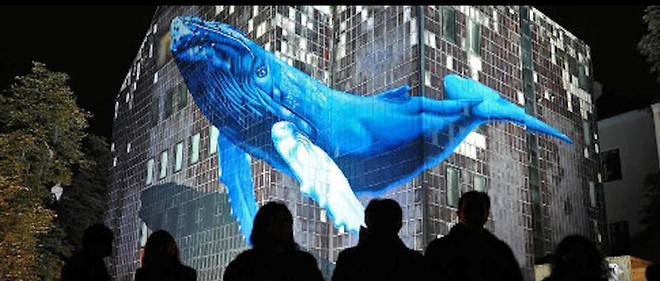 Nuit Blanche a Zagreb, une baleine en anamorphose, par l'artiste Etien' (dans le cadre de "Rendez-vous", le Festival de la France en Croatie). 