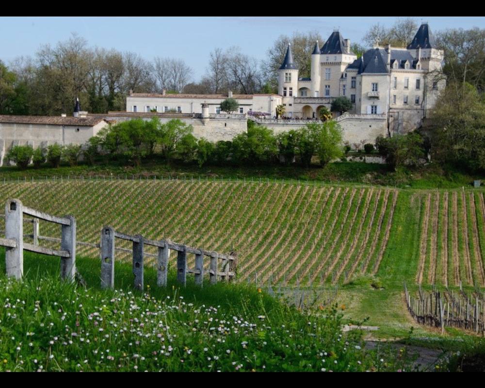 Château dans vignoble de Fronsac. ©  DR
