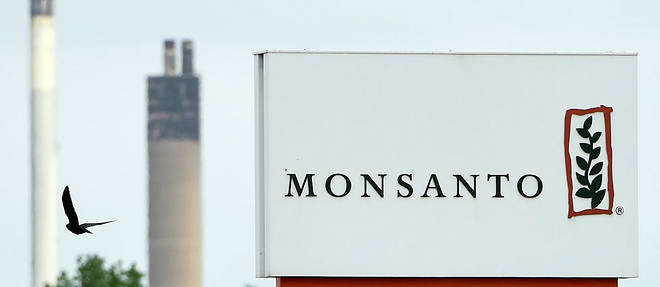 Monsanto recoit l'agrement europeen pour du soja OGM