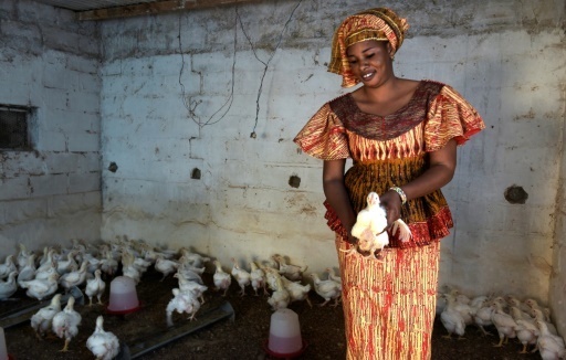 La tontine, ou le micro-credit au feminin, fait recette au Senegal