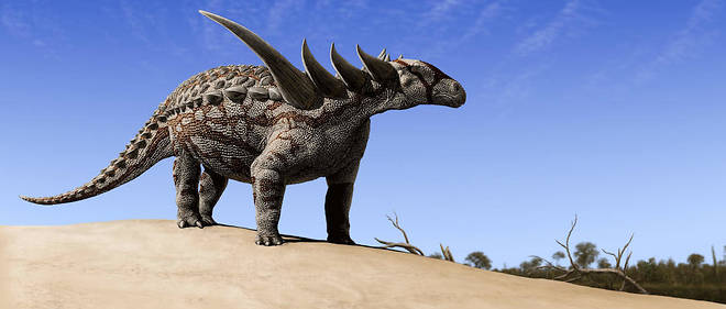 Le fossile appartient a la famille des ankylosaures. (Illustration)