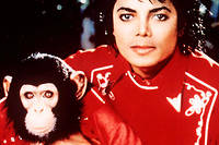 &Agrave; Cannes, Netflix convoite un film sur Michael Jackson et son chimpanz&eacute;