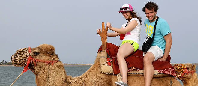 Des touristes francais sur un chameau dans l'ile de Djerba. Le signe d'un nouveau depart du tourisme tunisien avec comme locomotive les Algeriens, les Libyens et les Russes.