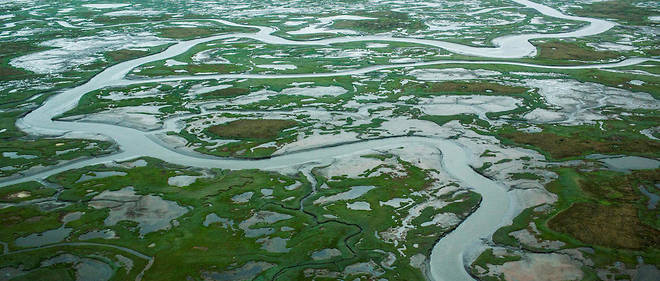 L'impact du rechauffement climatique sur l'Alaska. Cliche pris d'un avion le 6 juillet 2015. 