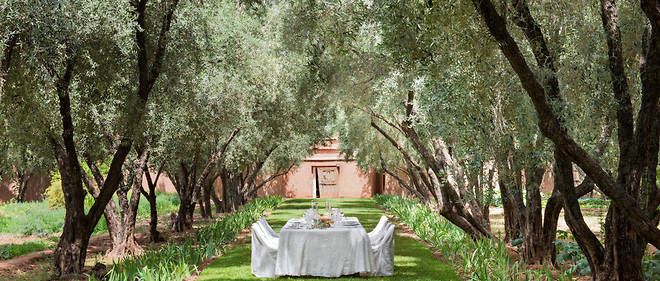 Agapes a l'ombre des oliviers de Dar Ahlam, dans la palmeraie de Skoura, au Maroc.