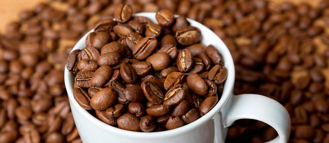 Boire du cafe regulierement aurait des effets benefiques sur la sante, et notamment sur l'esperance de vie.