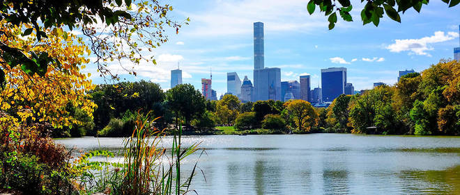 In Central Park, the heart of Manhattan, New York.