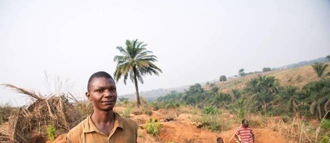 RD Congo/violences au Kasai: du diamant aux elections, un an de crise