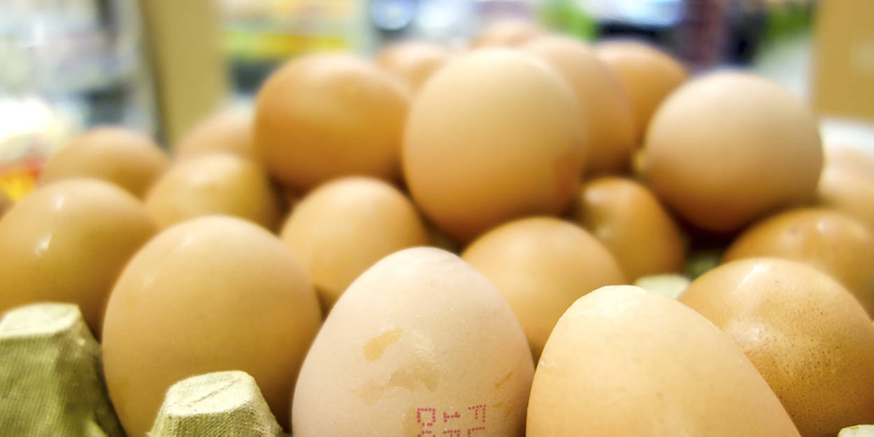 Œufs Contaminés Au Tour De Lespagne 