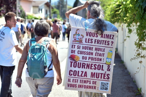 Manifestation contre le glyphosate en soutien à des militants en procès, le 17 août 2017 à Foix dans l'Ariège © REMY GABALDA AFP