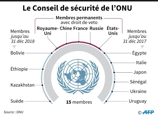 Le Conseil de sécurité de l'ONU © Vincent LEFAI AFP