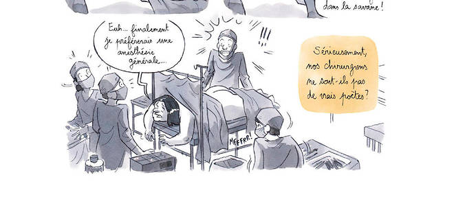Image tiree de la bande dessinee Les Mille et Une Vies des urgences.