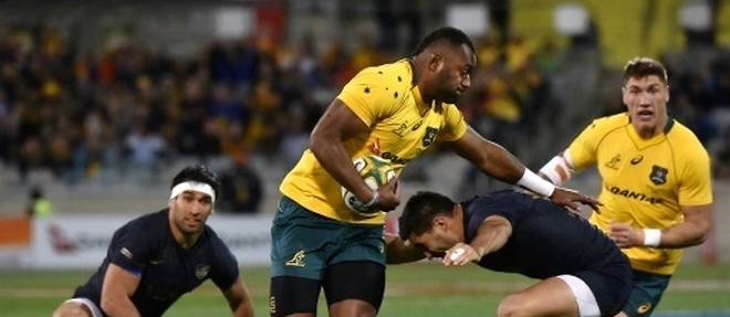 Rugby Championship: l'Australie prend son temps mais se relance
