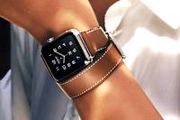Avec une seule montre, et de très nombreux bracelets, notamment signés Hermès, Apple contrôle la moitié des ventes de smartwatches. 