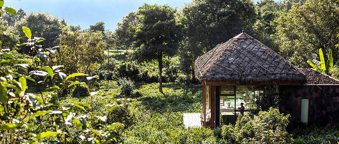 Le jardin de the et l'un des pavillons du spa du Bolian Resort de Jingmai (Yunnan).