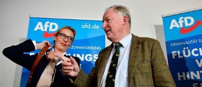 L'Alternative pour l'Allemagne (AfD): anti-islam et anti-Merkel