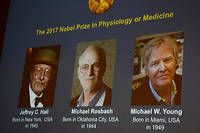 Le prix Nobel de m&eacute;decine revient &agrave; trois Am&eacute;ricains&nbsp;pour leurs travaux sur l'horloge biologique