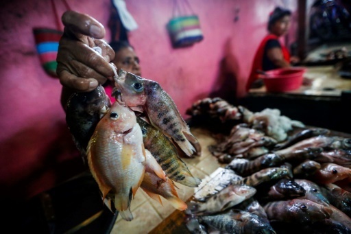 Au Nicaragua, des habitants reduits a manger le poisson d'un lac pollue