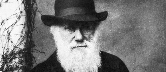 Charles Darwin (1809-1882) photographie par Julia Margaret Cameron (1815-1879) en 1870.