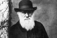 Charles Darwin (1809-1882) photographié par Julia Margaret Cameron (1815-1879) en 1870. ©Ann Ronan Picture Library