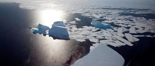 L'ocean Antarctique represente 15 % de la surface des oceans.