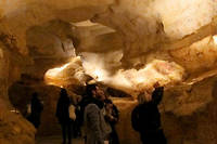 La nature doit reprendre ses droits dans la grotte de Lascaux