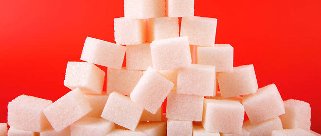 "Comment deviner qu'il y a du sucre dans des mets sal&#233;s comme la  charcuterie, les chips ? Ou que sa pr&#233;sence est quasi syst&#233;matique dans  les plats pr&#233;par&#233;s ? Le sucre est partout."