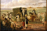 Plantations. Peinture de ­Victor Patricio de Landaluze (1874) représentant la récolte de la canne à sucre à Cuba. Exploitant la main-d’œuvre noire, l’île, gérée par de grandes compagnies américano-cubaines, deviendra, au début du XXe siècle, le premier producteur mondial de sucre. ©akg-images
