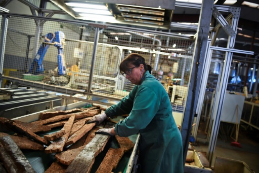 Un atelier d'une usine de fabrication de bouchons en liège du groupe Amorim, à Coruche (centre du Portugal), le 23 octobre 2017 © PATRICIA DE MELO MOREIRA AFP