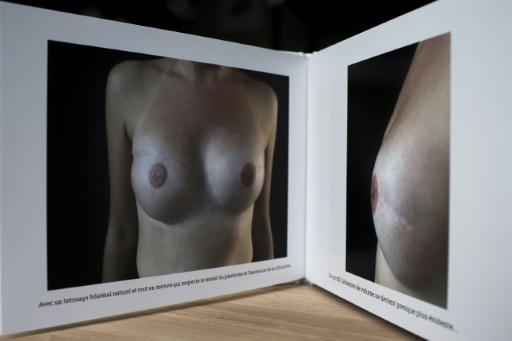 Image d'un tatouage en 3D réalisé sur le sein d'une femme par  Alexia Cassar à Marly-la-Ville près de Paris, le 21 novembre 2017 © Philippe LOPEZ AFP