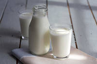  L’intolérance au lactose est due à un déficit de sécrétion d’une protéine, la lactase, par l’intestin. 