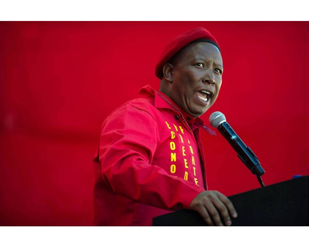 Ex-leader des jeunes de l'ANC, Julius Malema est parti en dissidence et a fondé un nouveau parti Economic Freedom Fighters. ©  AFP