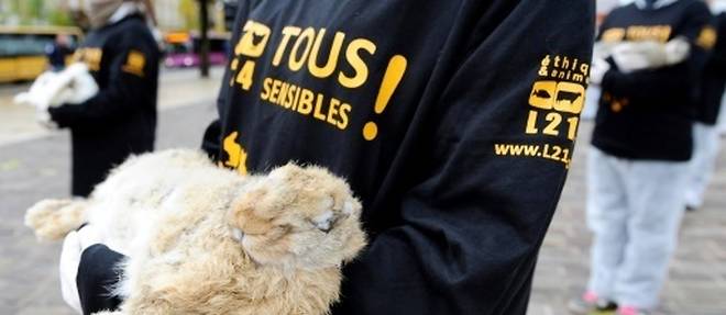 Fourrure: L214 denonce les conditions d'elevage de lapins