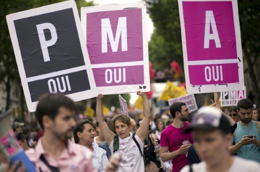 Des partisans de la PMA lors de la Gay Pride, le 29 juin 2013 à Paris © LIONEL BONAVENTURE AFP/Archives