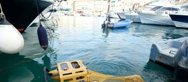 Le "robot meduse", un aspirateur flottant pour aspirer les detritus