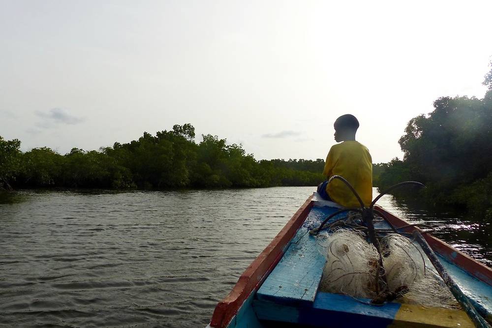 Sénégal immersion dans le delta du