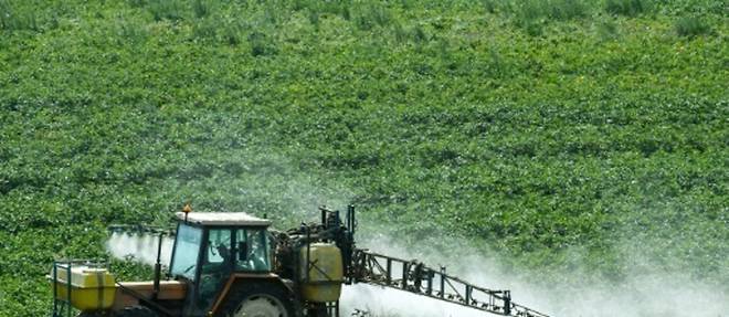 Pesticides: separer le conseil de la vente, un bouleversement pour les professionnels