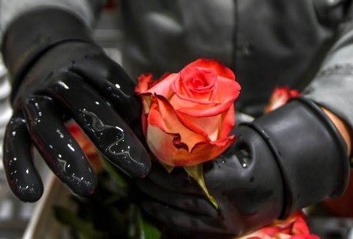 Saint-Valentin: l'important c'est la rose, de preference equitable