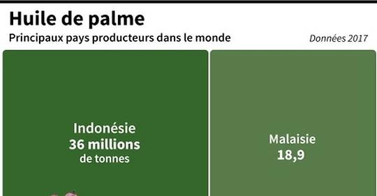 Huile de palme : l'Indonésie pousse l'UE à revoir à la baisse ses normes