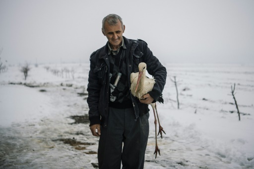 Safet Halil, 53 ans, dans sa cour, dans le village de Zaritza, dans le nord-est de la Bulgarie, une cigogne dans les bras. Le 21 mars 2018. © Dimitar DILKOFF AFP