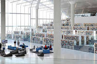 Architecture : les nouveaux palais des livres