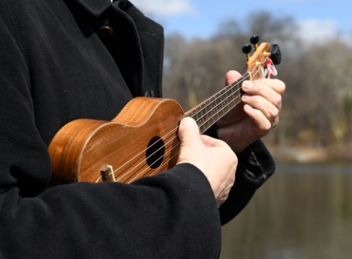 Instrument à quatre cordes, le ukulele est peu cher et facilement transportable © ANGELA WEISS AFP