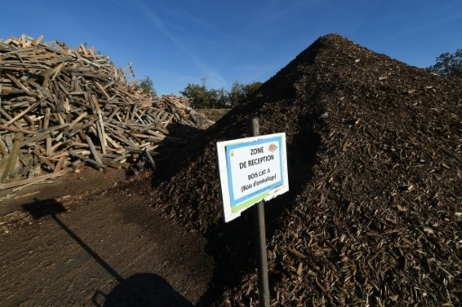 Recyclage des déchets le 5 novembre 2015 à la coopérative de Belesta-en-Lauragais (Haute-Garonne) © ERIC CABANIS AFP/Archives