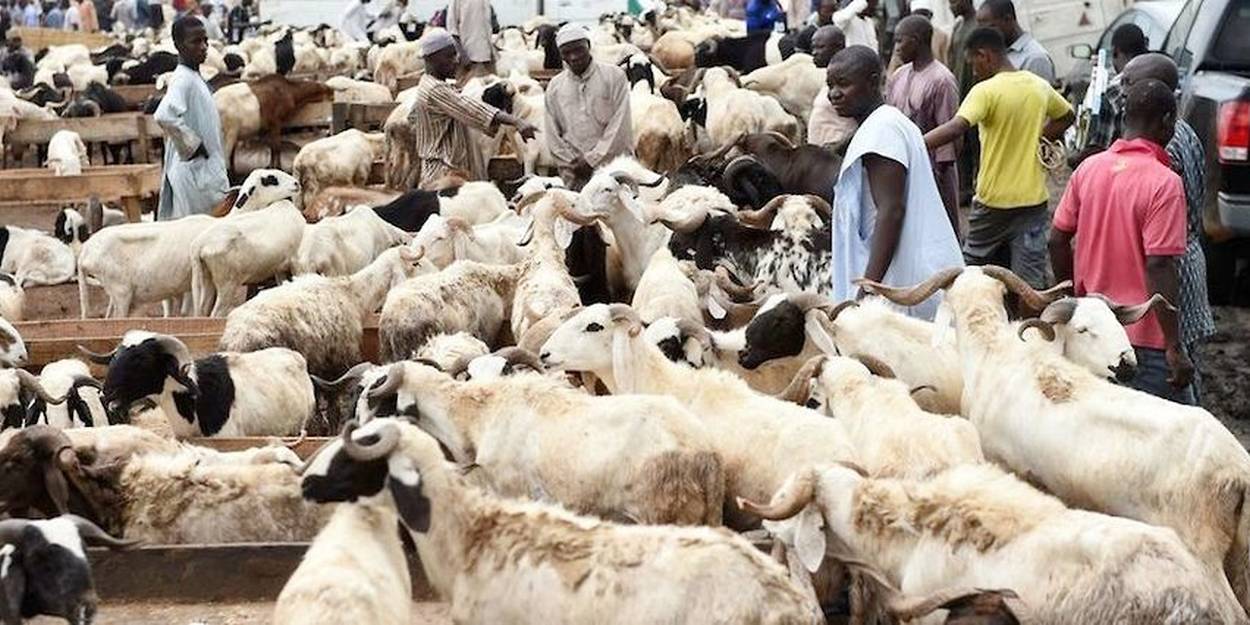 Rencontres chrétiennes gratuites au Nigeria