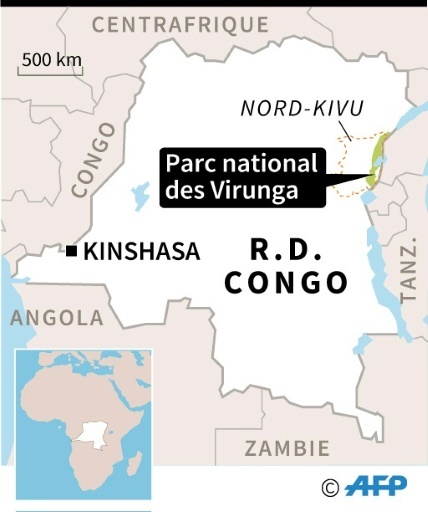 RDC : Parc national des Virunga © Paul DEFOSSEUX AFP